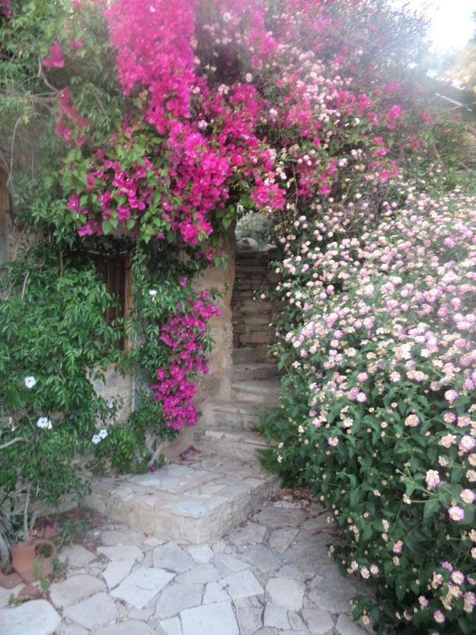 Villa Oleander Stone House Lemona Exterior foto